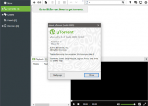UTorrent Pro Crack 3.6.6 Build 44841 Free Download (PC)